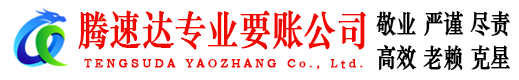 浔阳追债公司